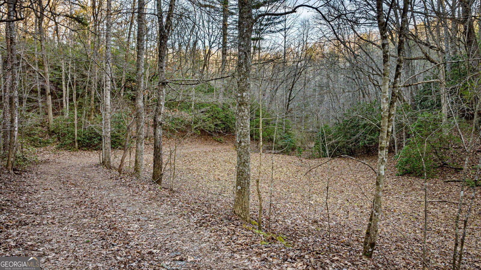 178 Arp Road Mineral Bluff - 84
