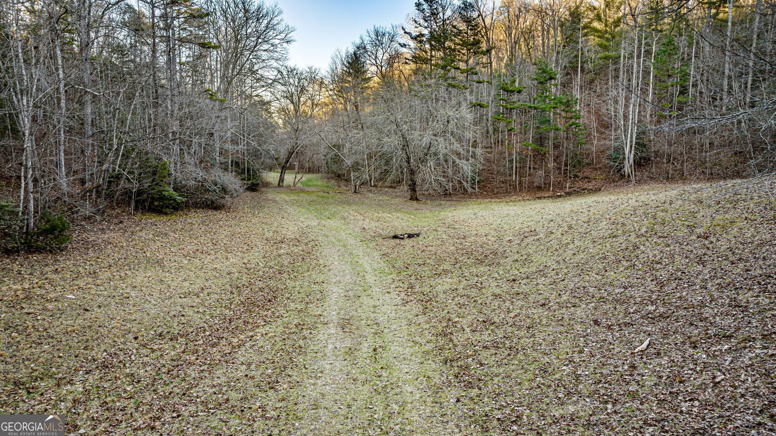 178 Arp Road Mineral Bluff - 9