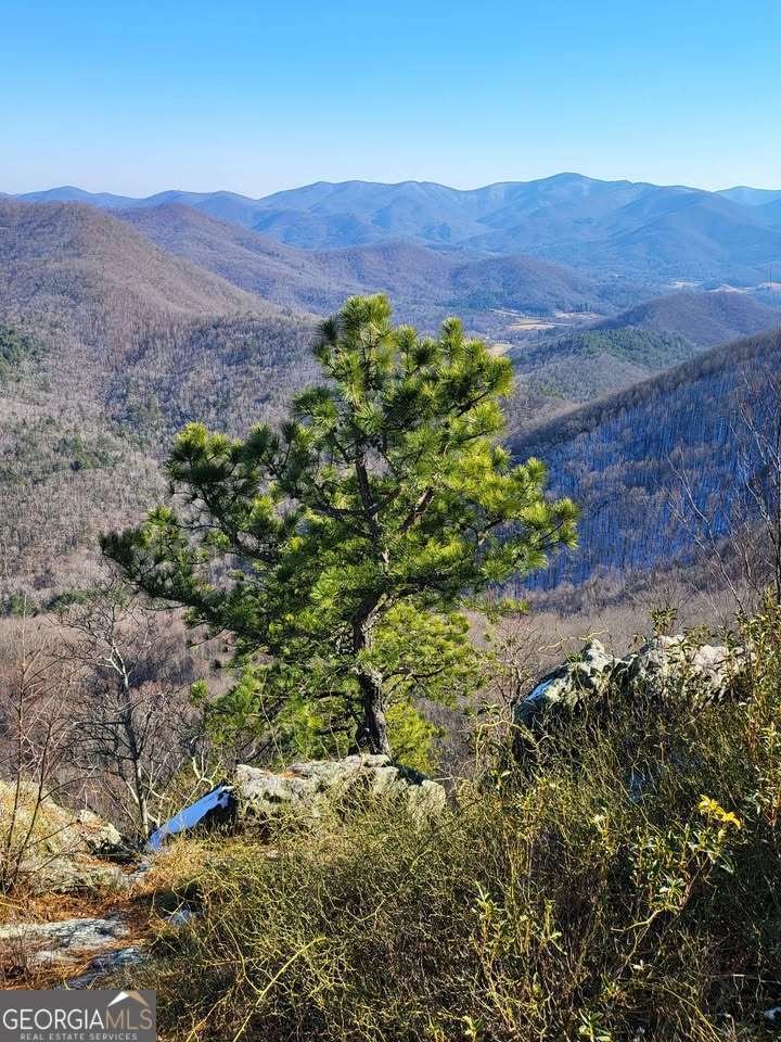 325 Scataway Road Hiawassee - 24