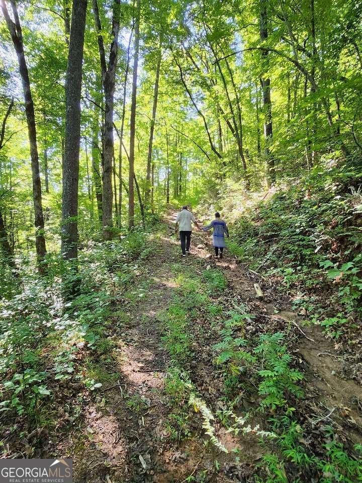 325 Scataway Road Hiawassee - 8