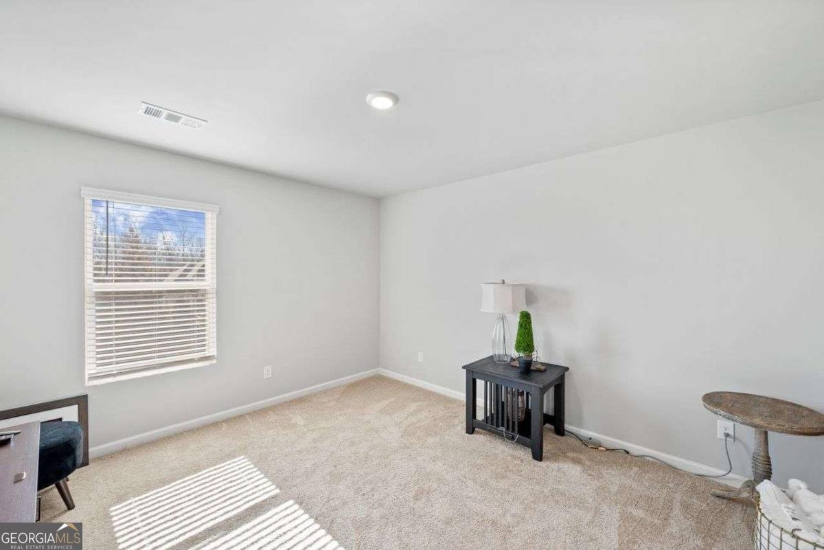 6713 Moondancer Court Flowery Branch - 12
