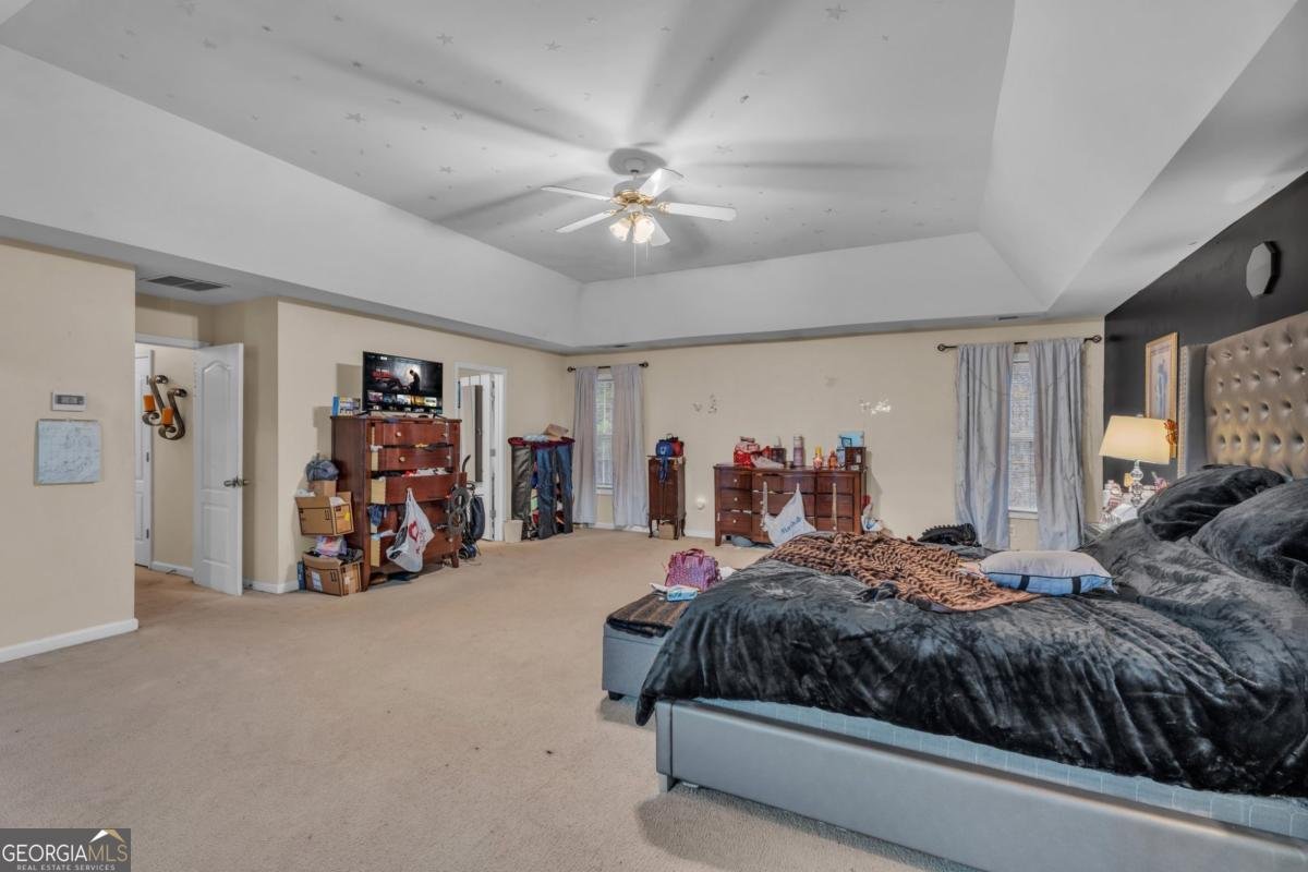 8034 Bradshaw Court Douglasville - 17