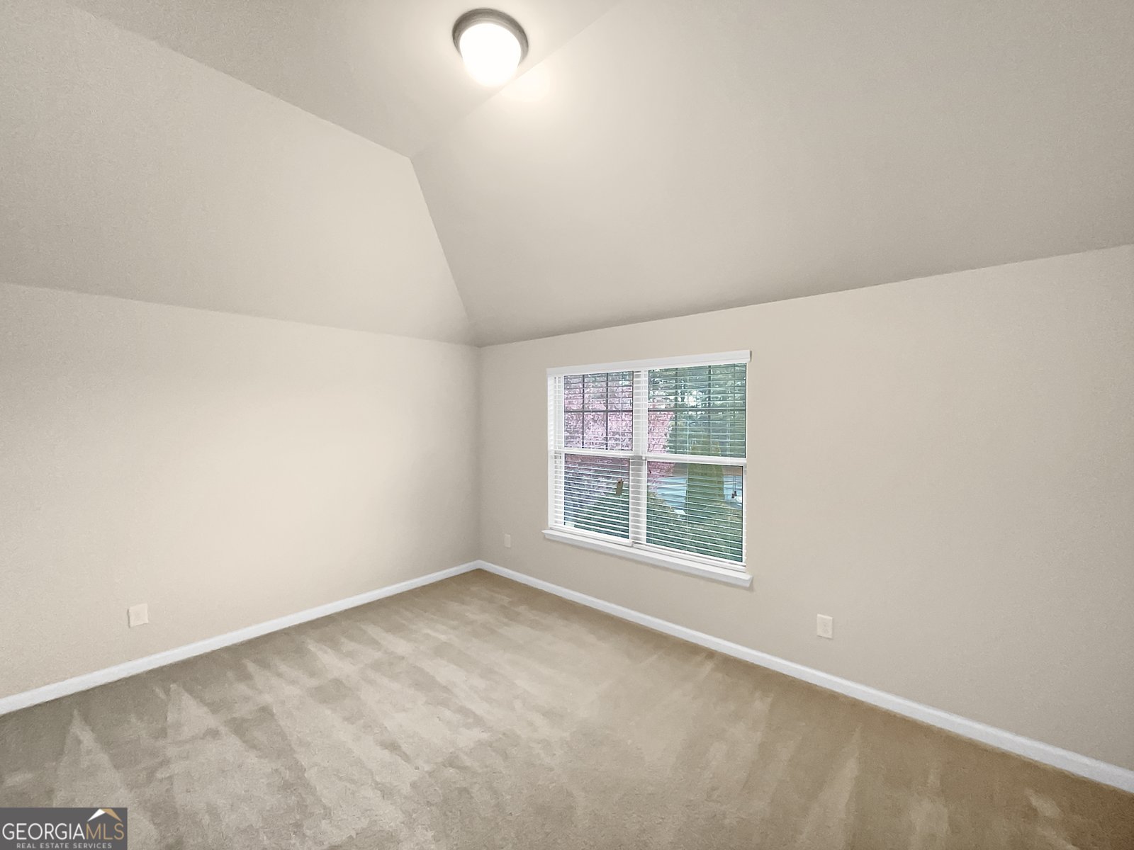 2100 Trinity Mill Drive Dacula - 17