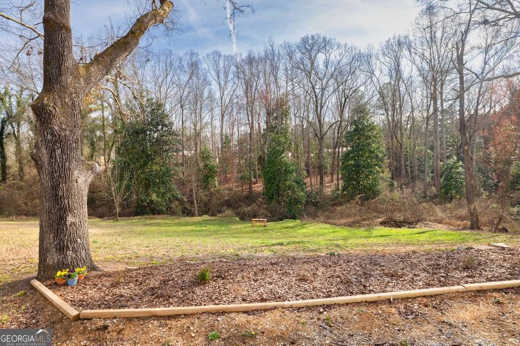 1217 Mize Road Toccoa - 21