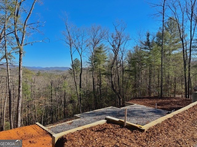 BILL CLAYPOOL D Lot 28 Blue Ridge - 1