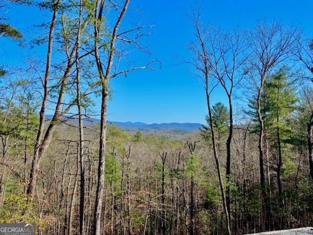 BILL CLAYPOOL D Lot 28 Blue Ridge - 2
