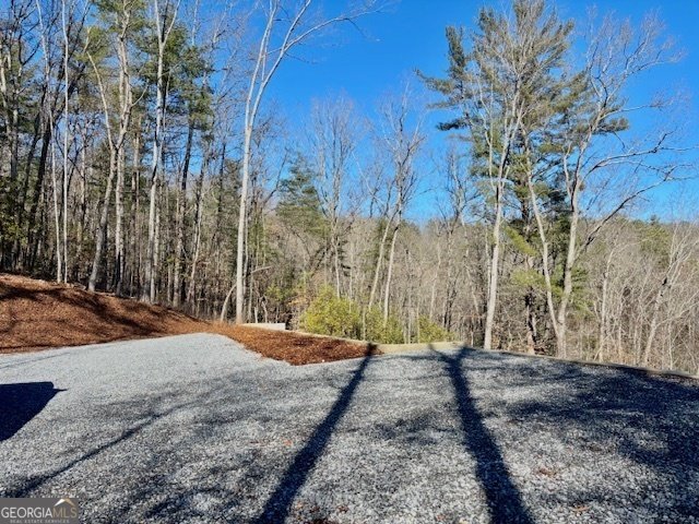 BILL CLAYPOOL D Lot 28 Blue Ridge - 3