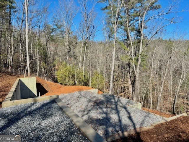 BILL CLAYPOOL D Lot 28 Blue Ridge - 4