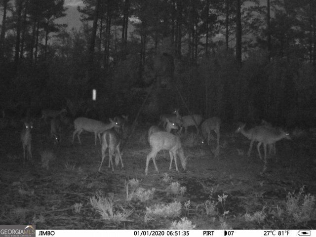 5790 Wooddell Drive Waycross - 4