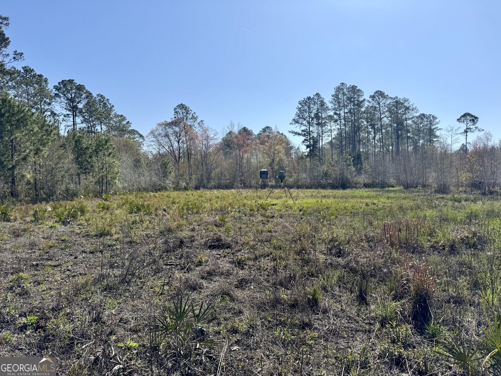 5790 Wooddell Drive Waycross - 5