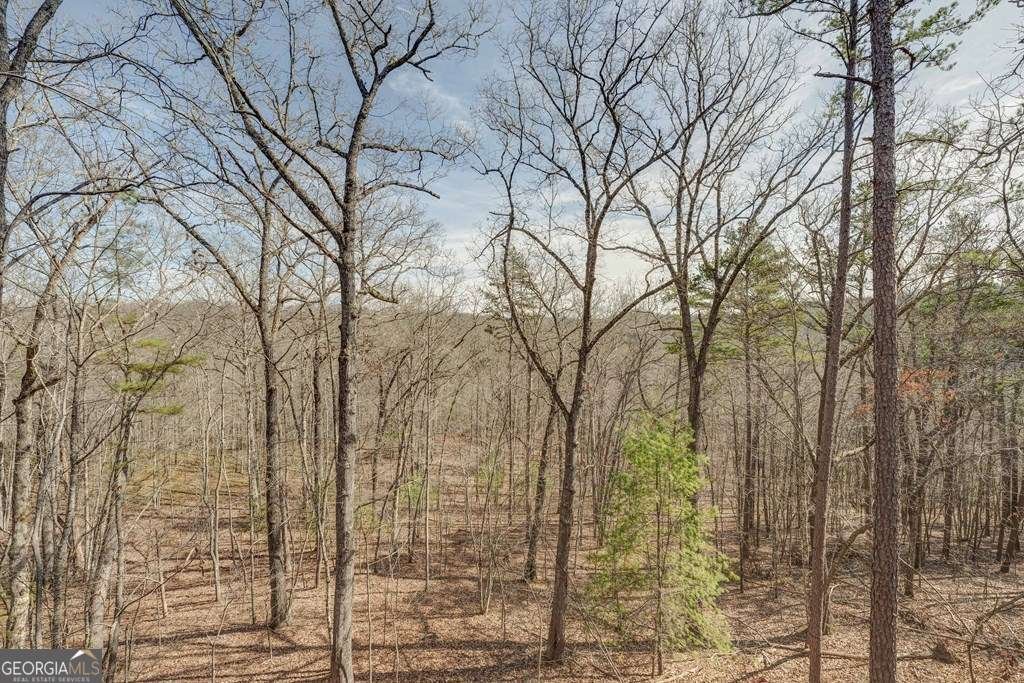 58 Wolf Creek Drive Mineral Bluff - 7
