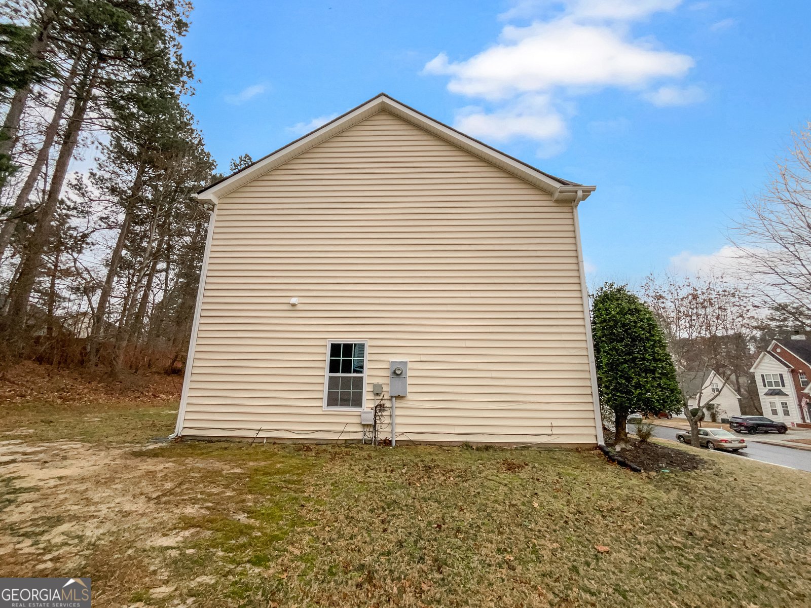 3519 Cast Palm Drive Buford - 32
