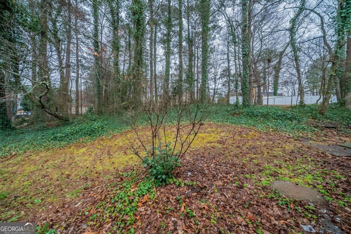 3500 Quail Hollow Trail Snellville - 27
