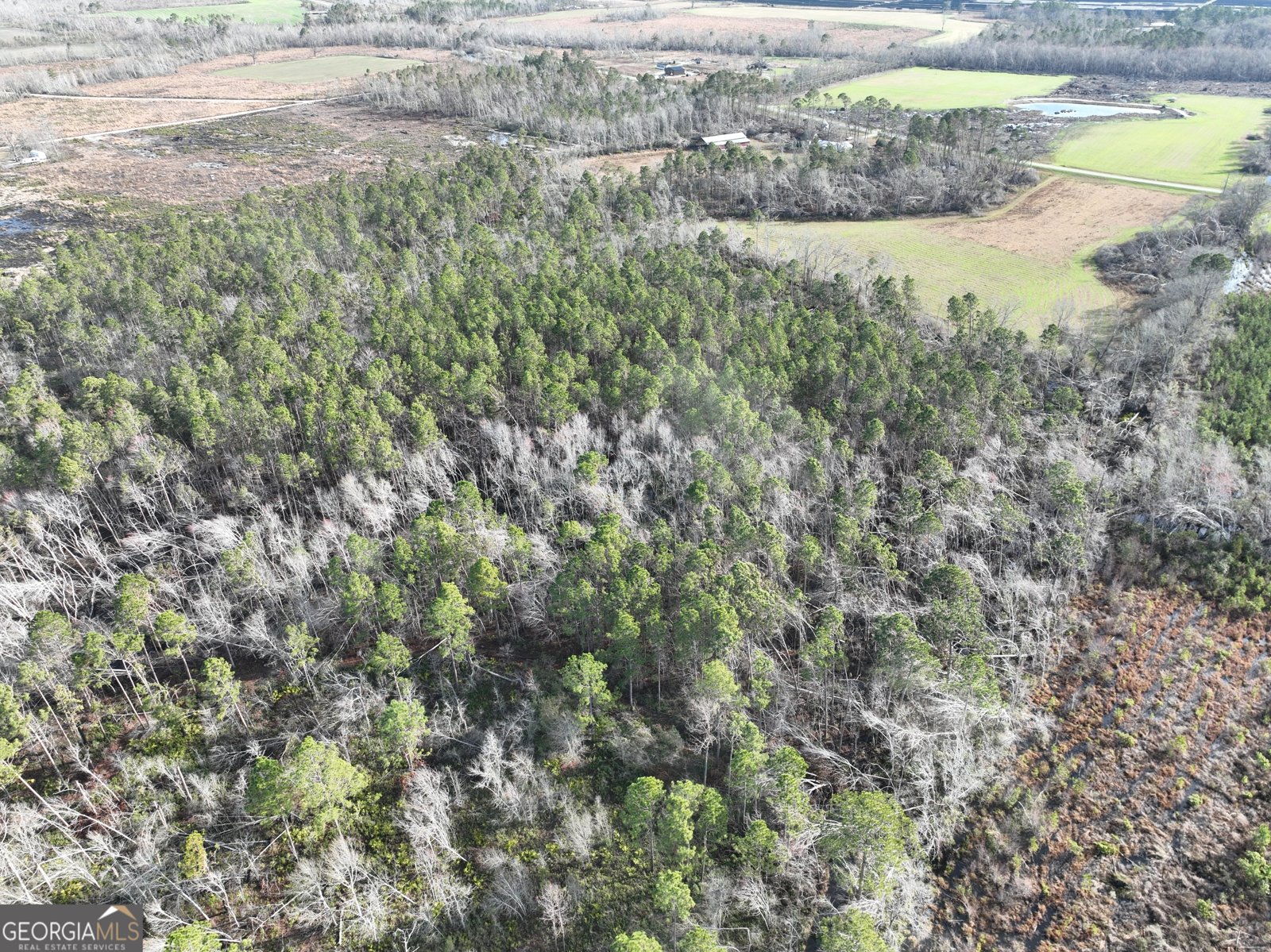 712 Bell Telephone Road Hazlehurst - 10