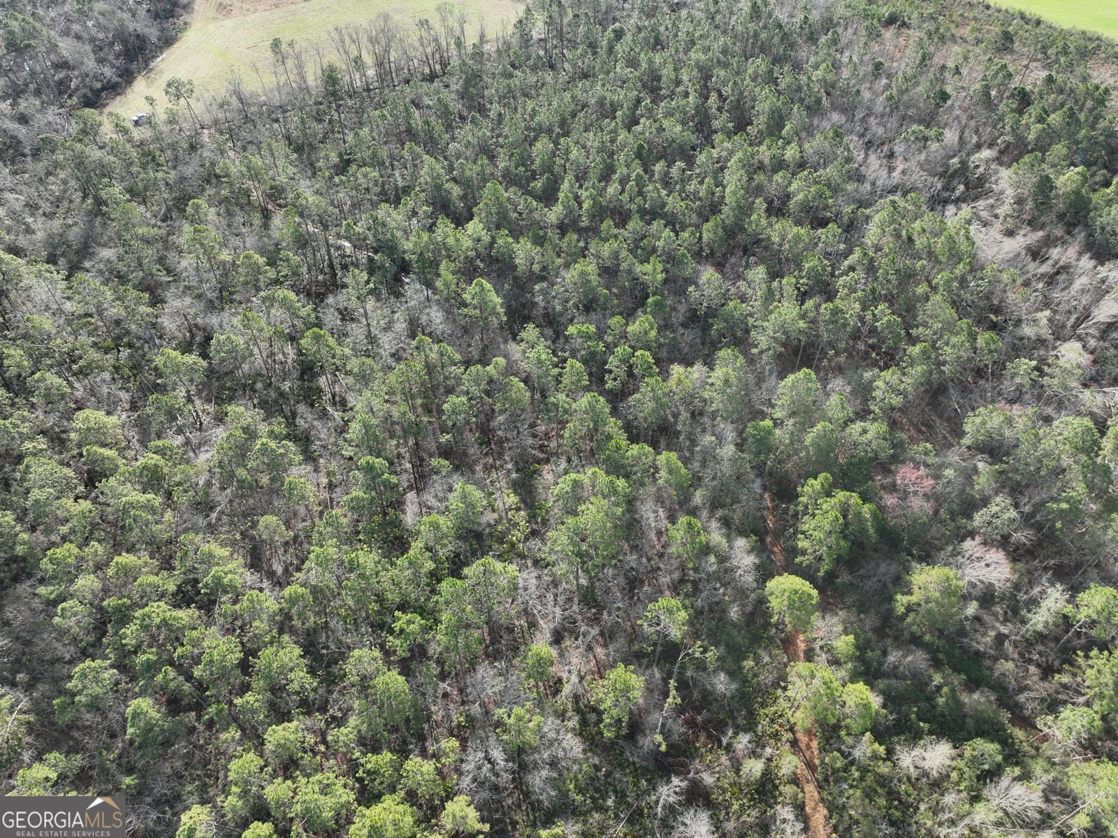712 Bell Telephone Road Hazlehurst - 13