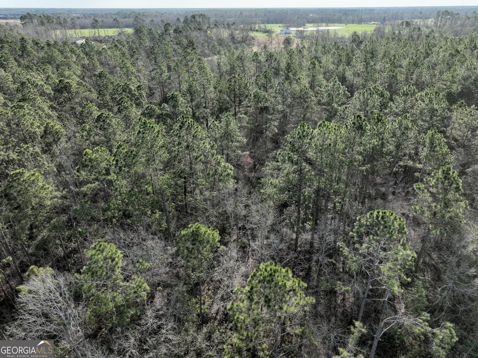 712 Bell Telephone Road Hazlehurst - 14