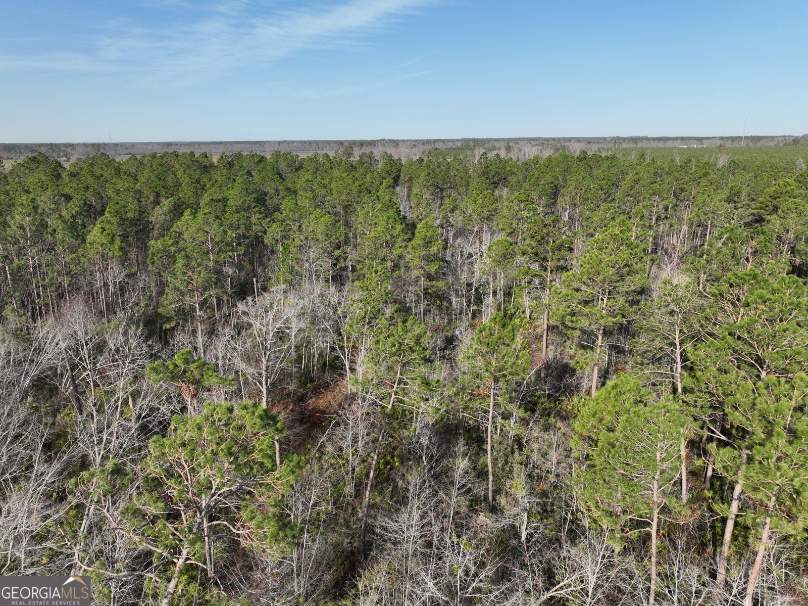 712 Bell Telephone Road Hazlehurst - 3