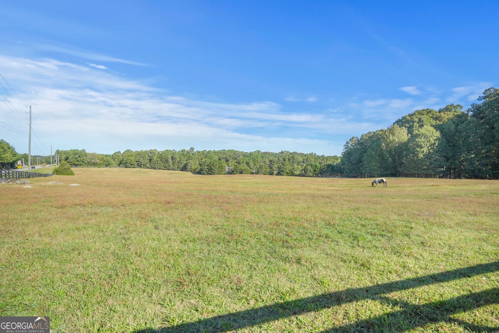 4226 Highway 155 Stockbridge - 37