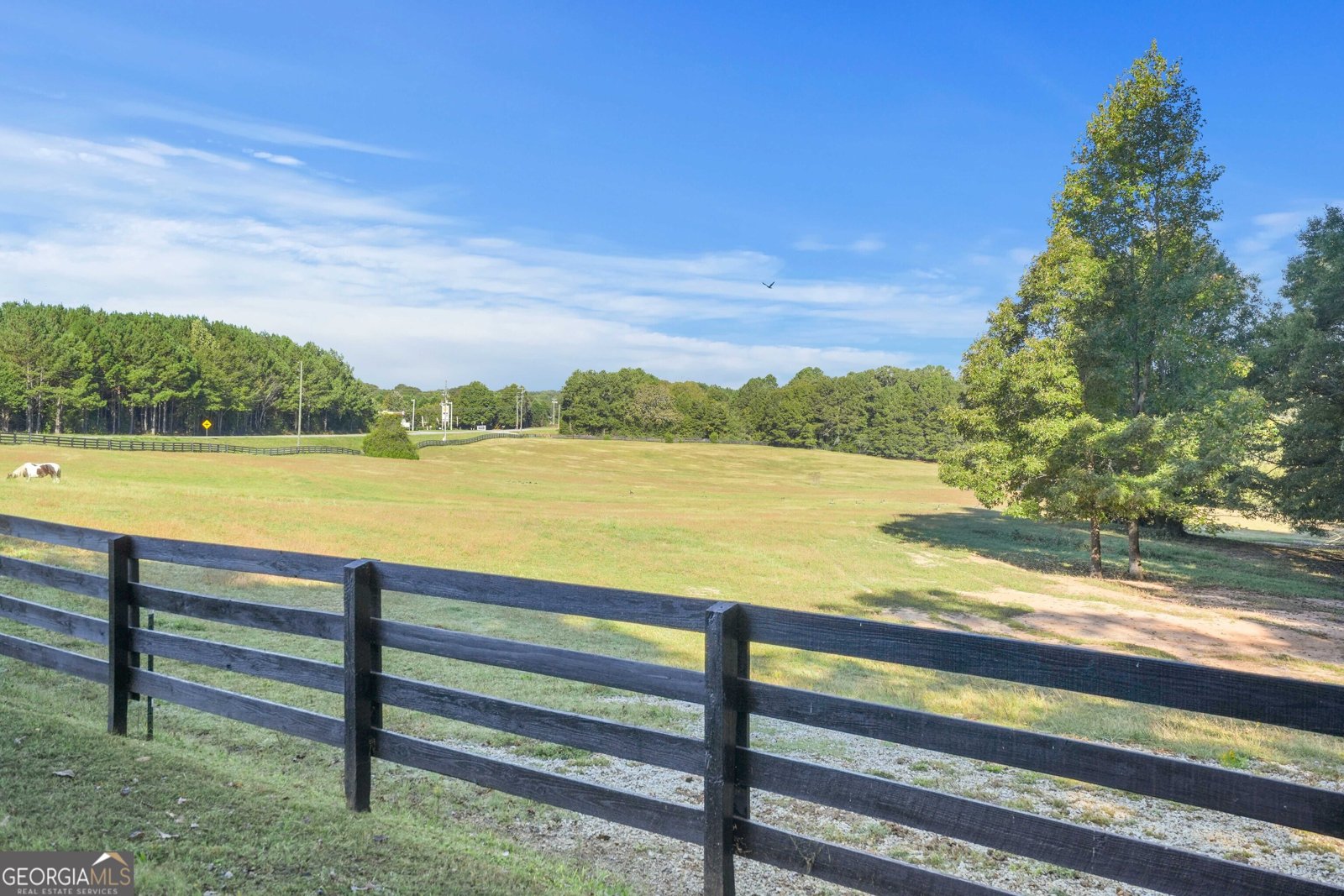 4226 Highway 155 Stockbridge - 38
