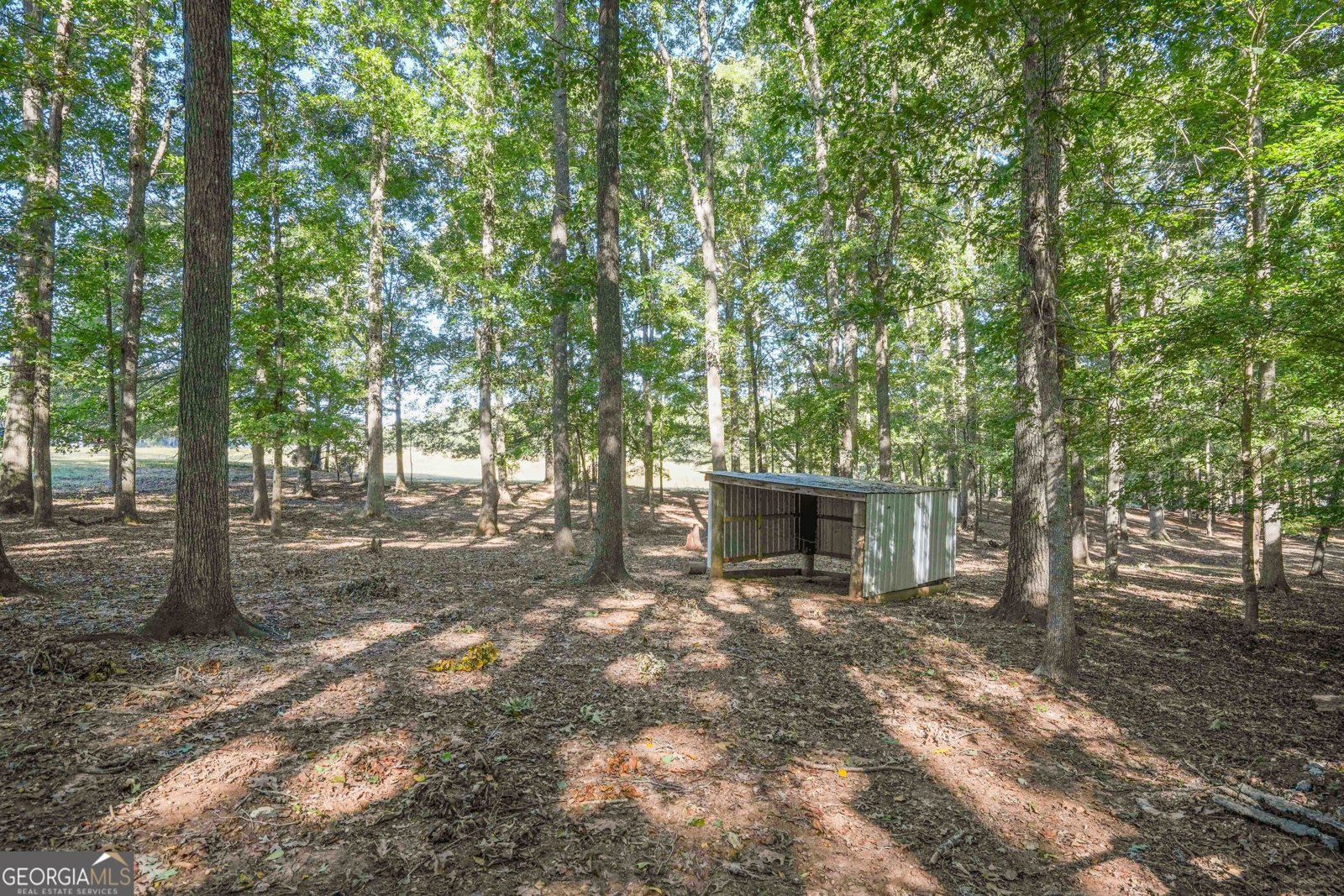 4226 Highway 155 Stockbridge - 51
