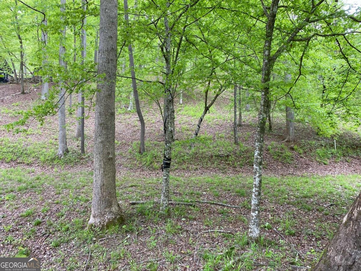 338 Woody Tucker Road Dawsonville - 36