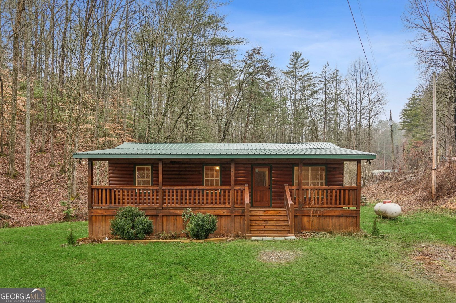 519 Barnes Drive Ellijay - 1