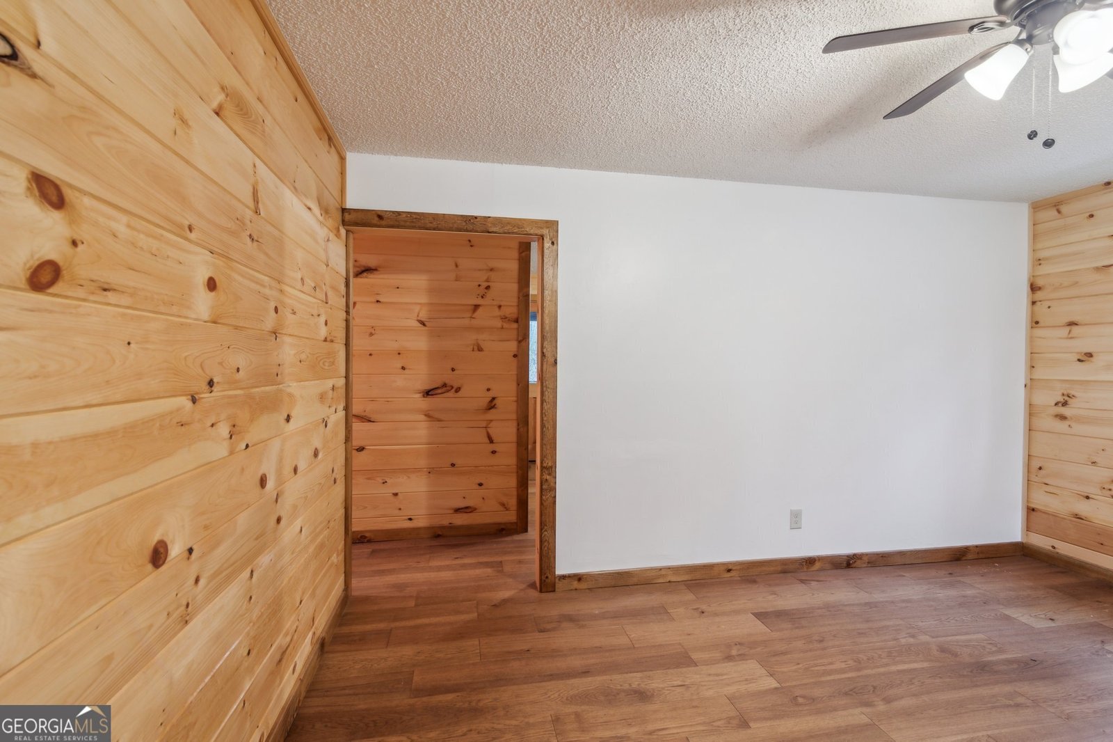 519 Barnes Drive Ellijay - 3