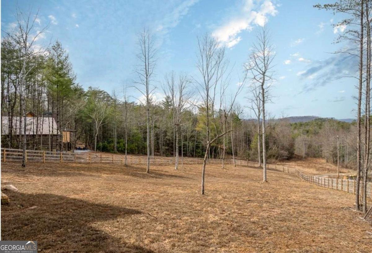 5 Serenity View Blue Ridge - 14