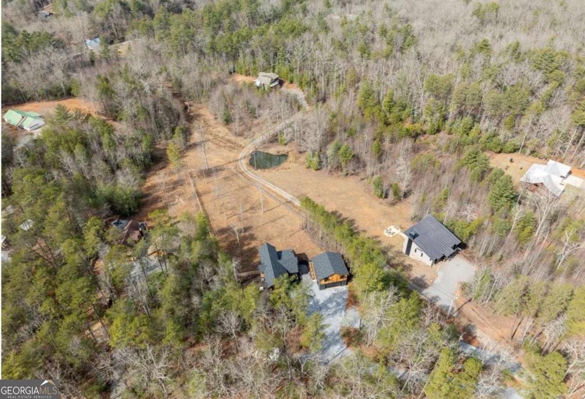 5 Serenity View Blue Ridge - 35