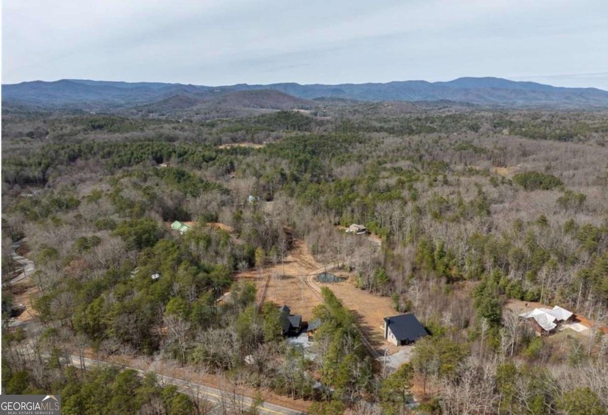 5 Serenity View Blue Ridge - 36