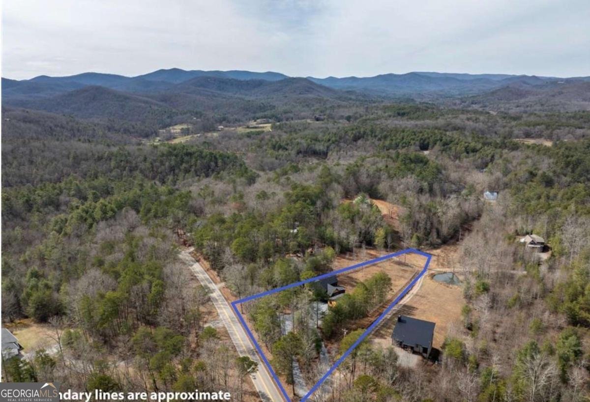 5 Serenity View Blue Ridge - 37