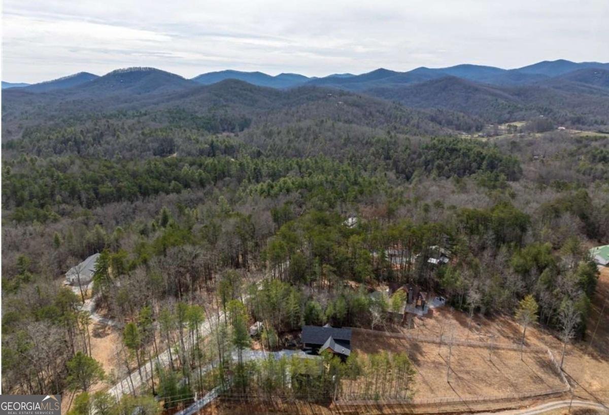 5 Serenity View Blue Ridge - 39