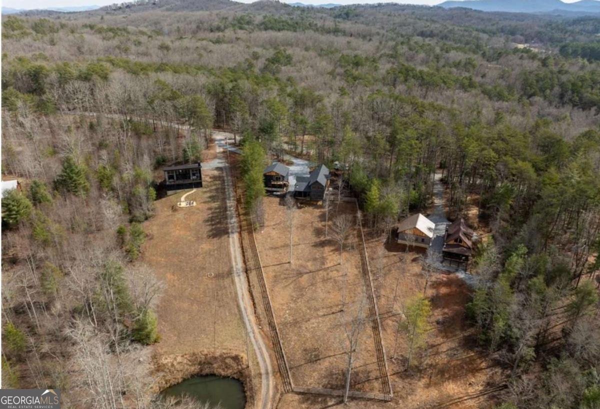 5 Serenity View Blue Ridge - 41