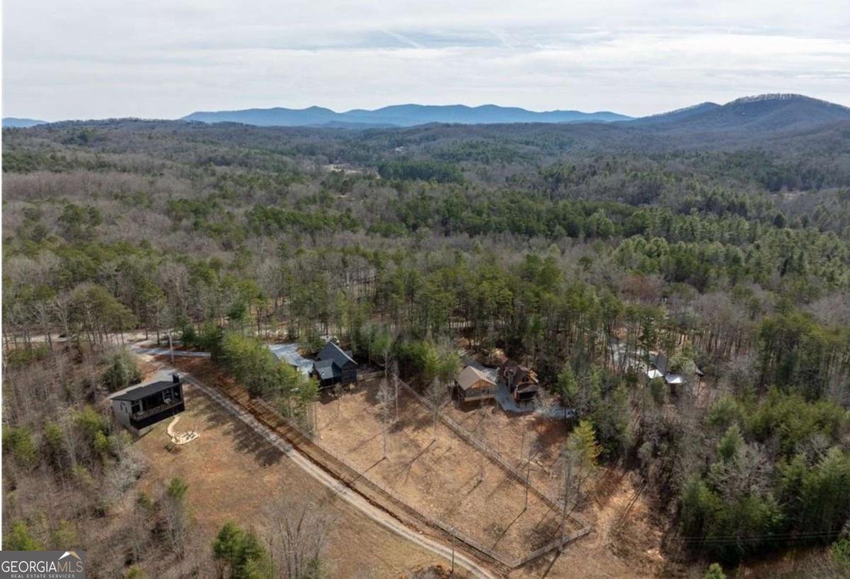 5 Serenity View Blue Ridge - 68