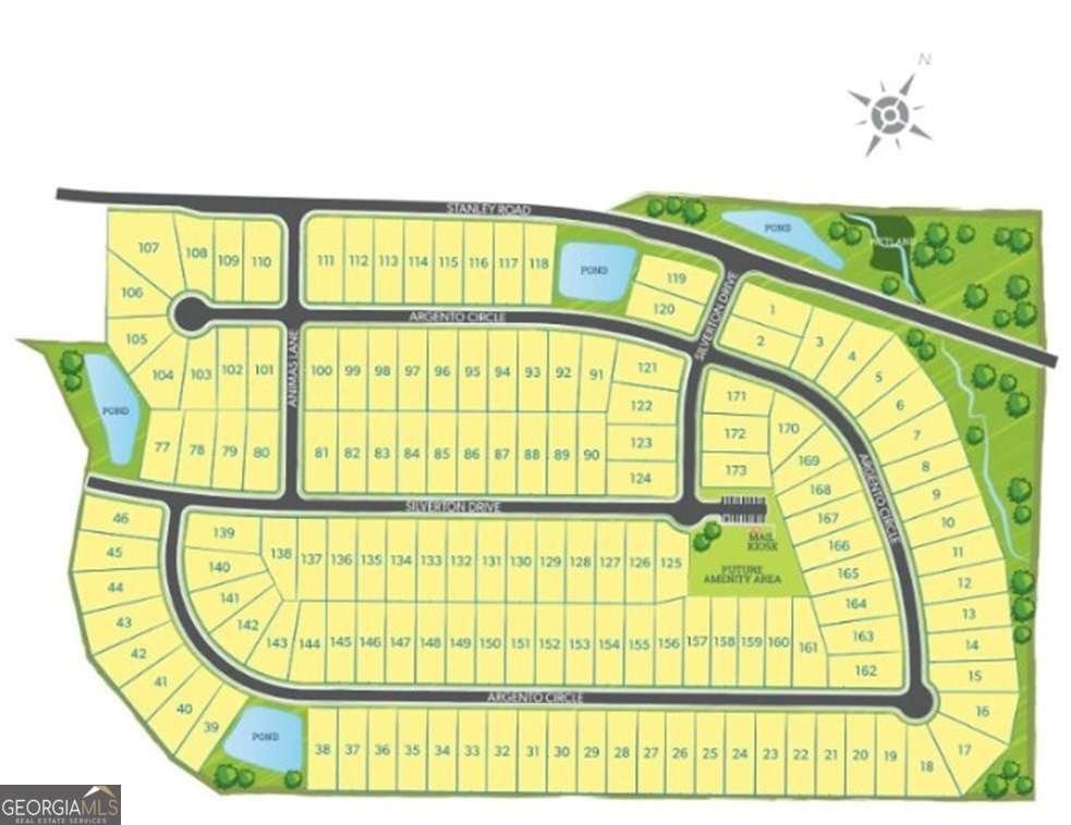 2489 Argento Circle Dacula - 10