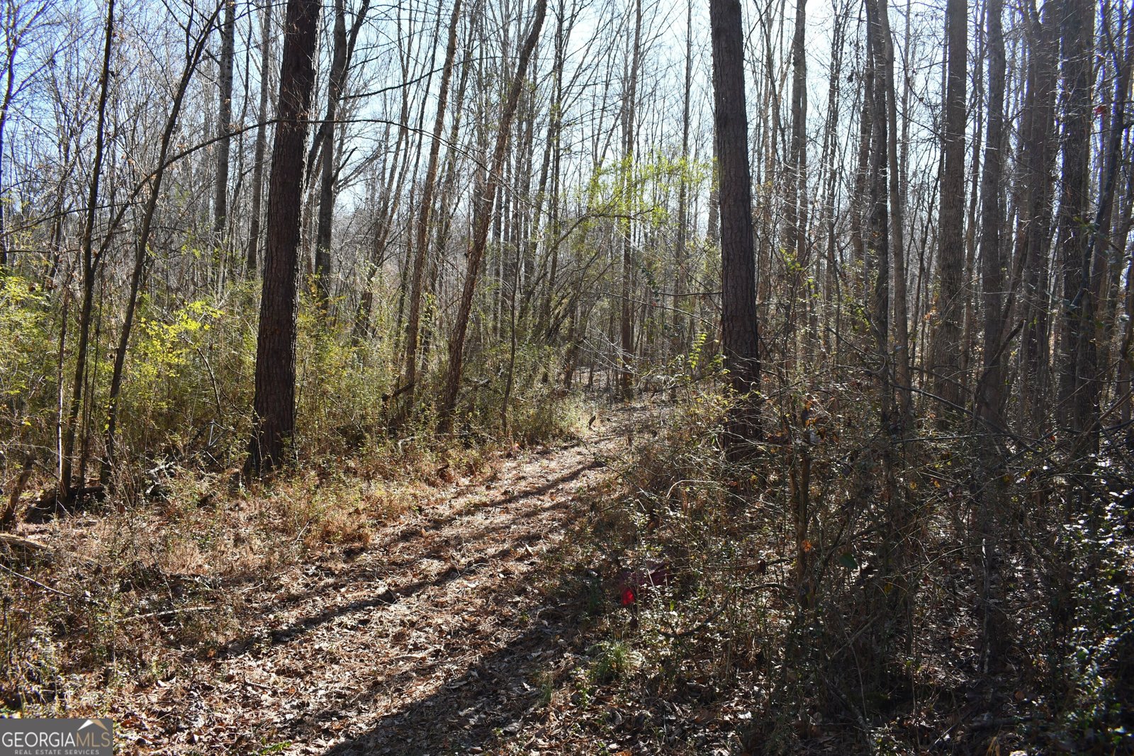 2977 Georgia Highway 120 Tallapoosa - 13