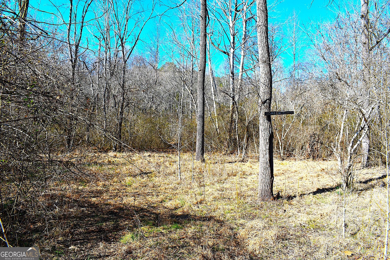 2977 Georgia Highway 120 Tallapoosa - 17