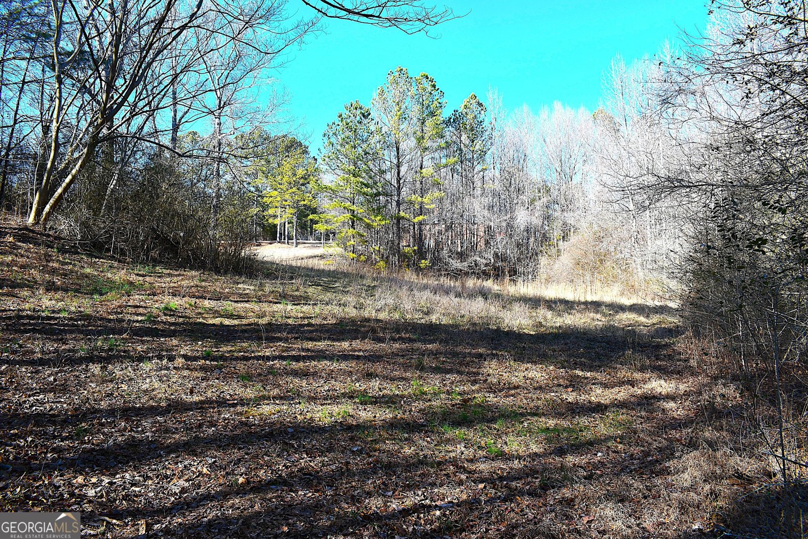 2977 Georgia Highway 120 Tallapoosa - 32