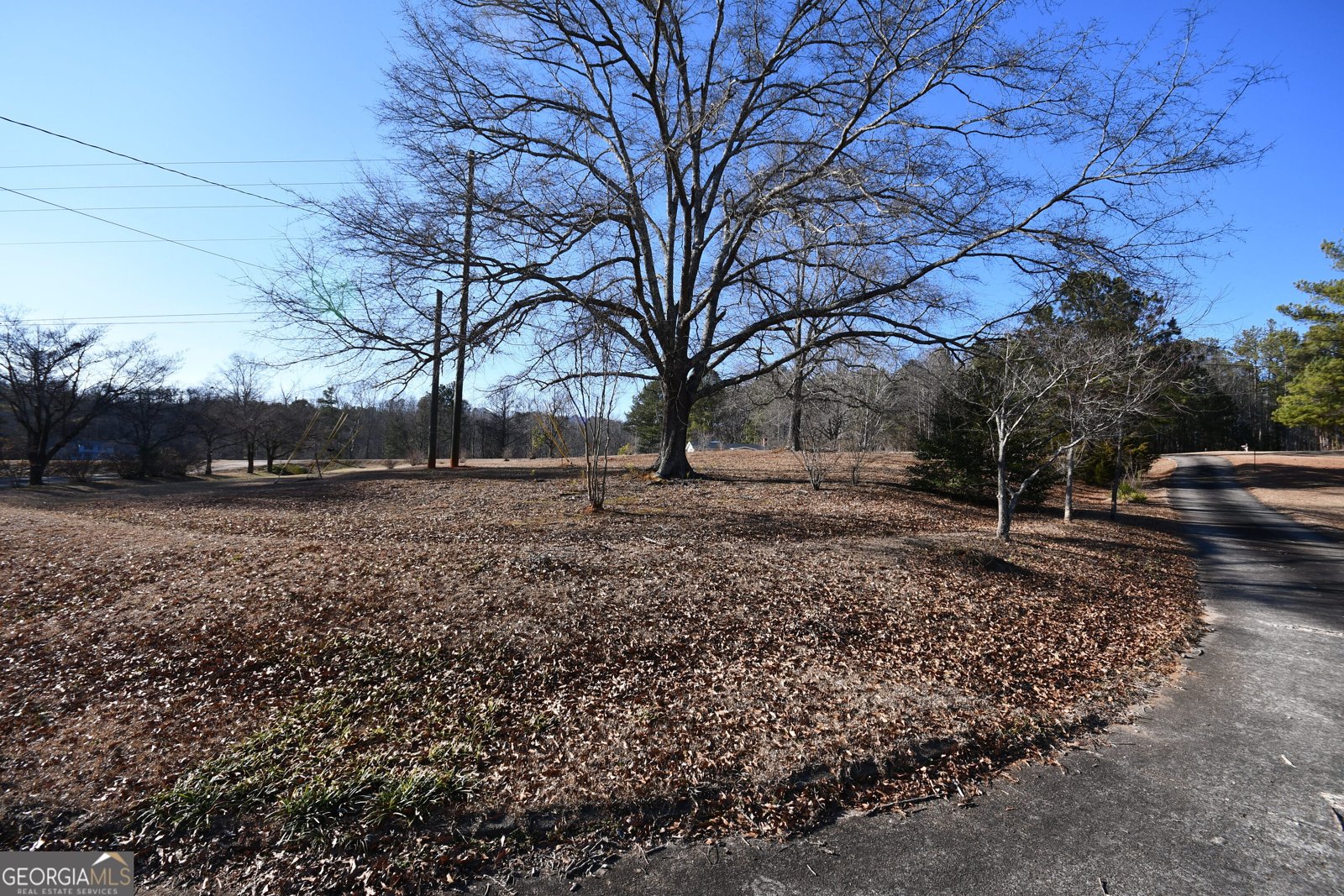 2977 Georgia Highway 120 Tallapoosa - Photo 61