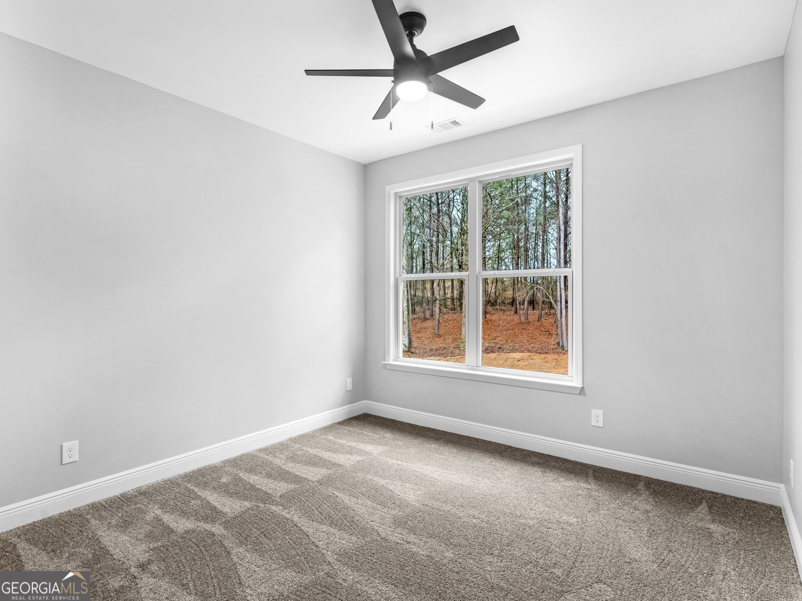 800 Blanton Mill Road Griffin - 46