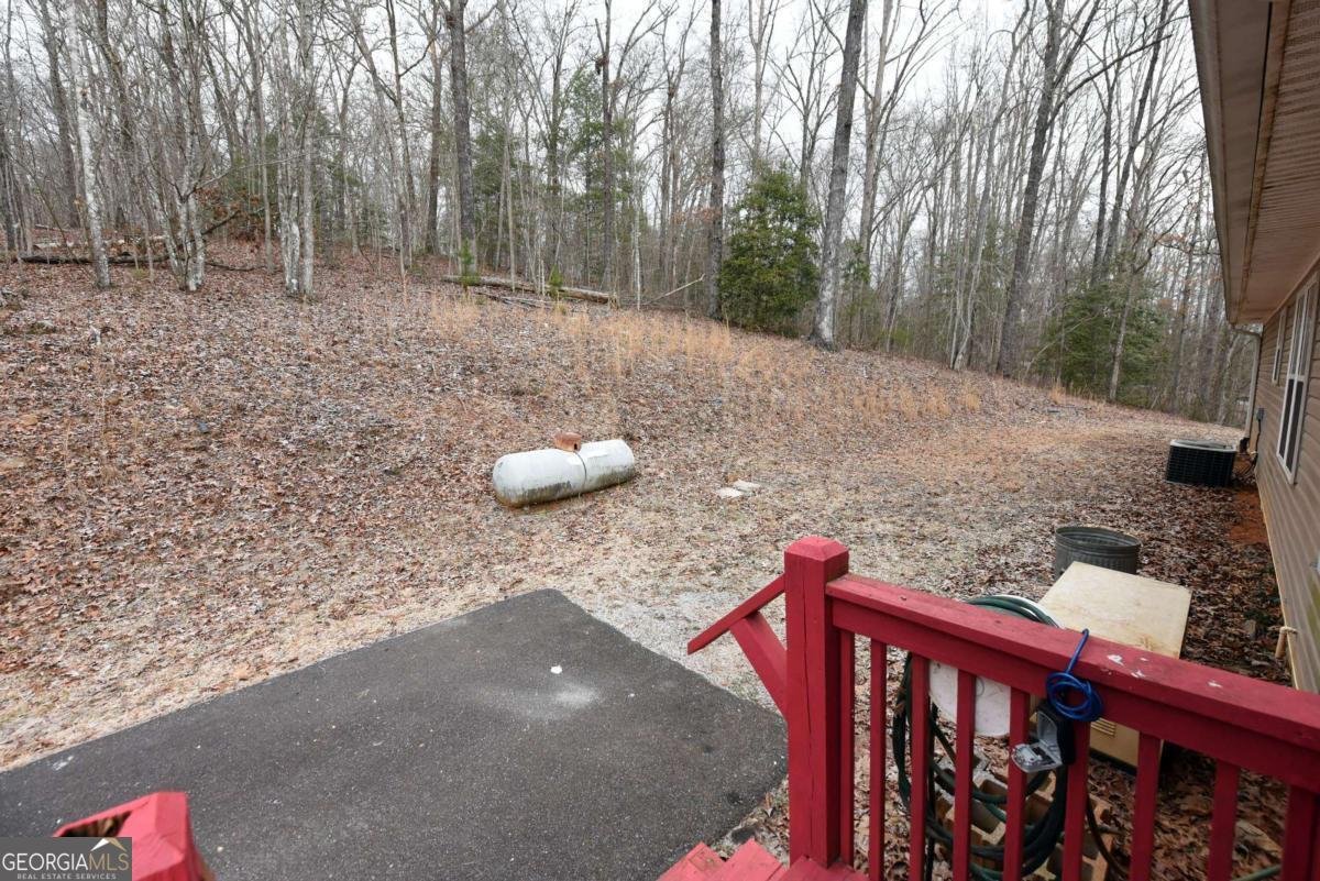 600 Indian Ridge Trail Mccaysville - 11
