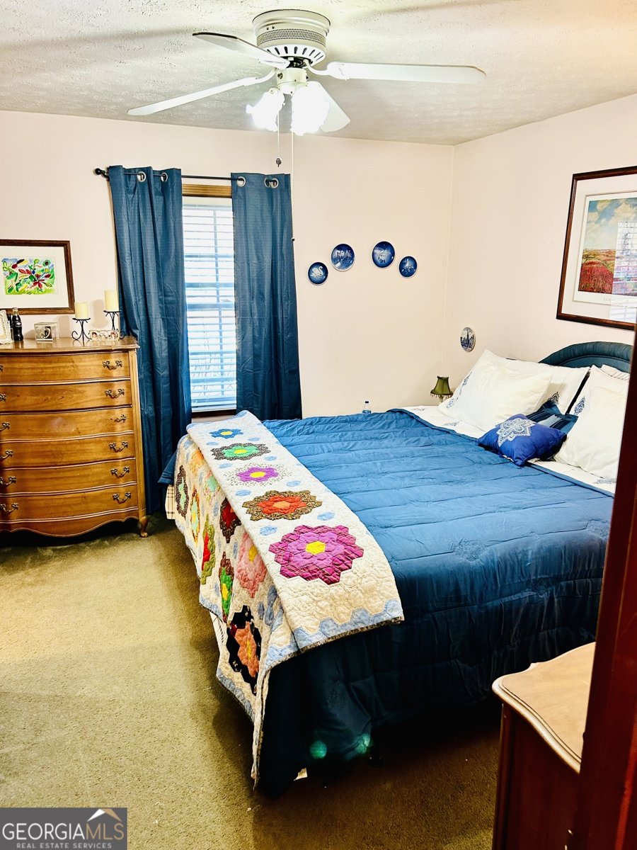 3112 Laura Lane Lithia Springs - 10