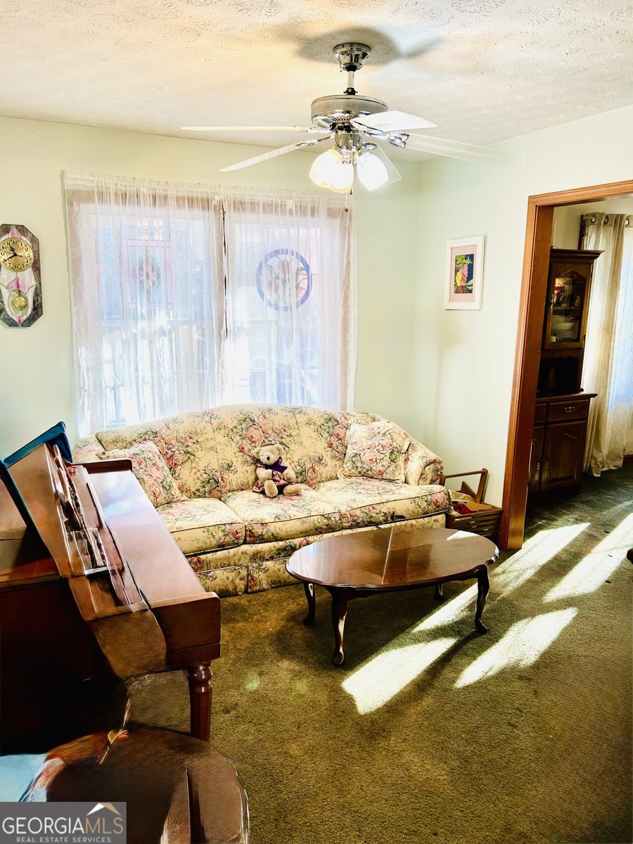 3112 Laura Lane Lithia Springs - 7