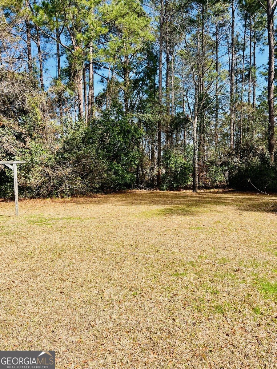 625 Barbara Street Metter - 23