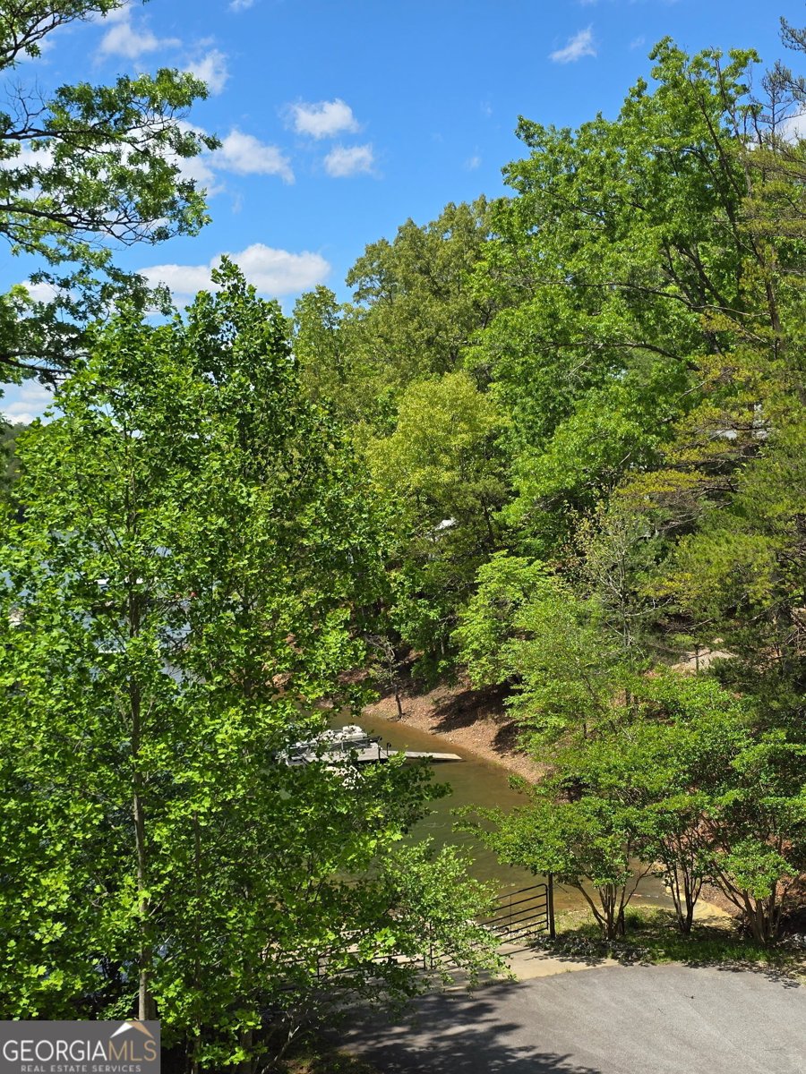 332 Talon Trace Blairsville - 19