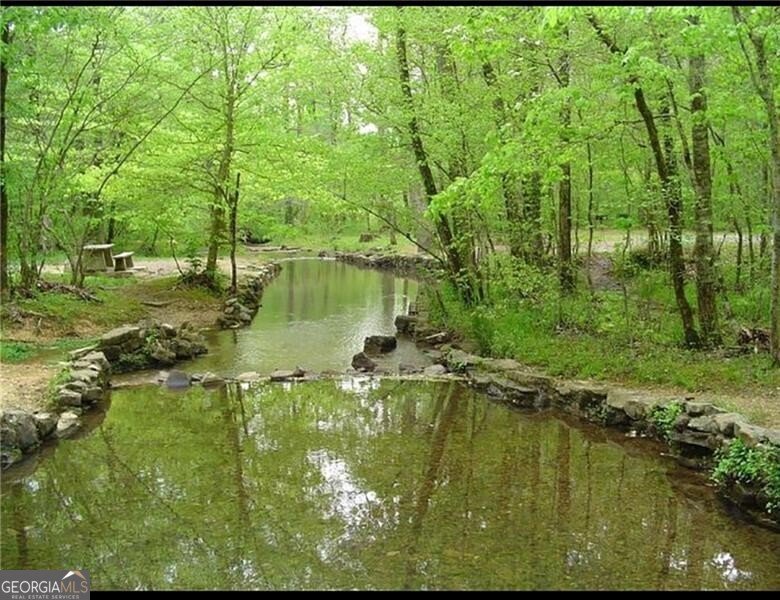 894 Deerfield Lane Sugar Valley - 79