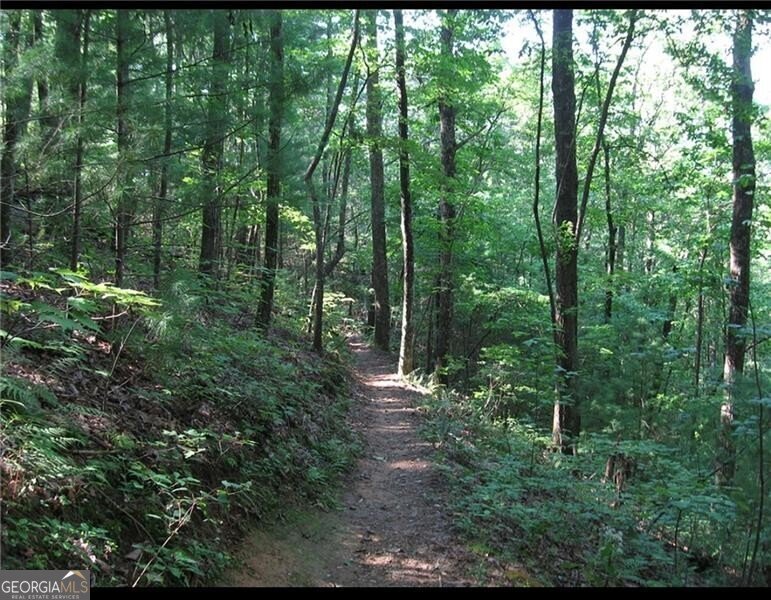 894 Deerfield Lane Sugar Valley - 80