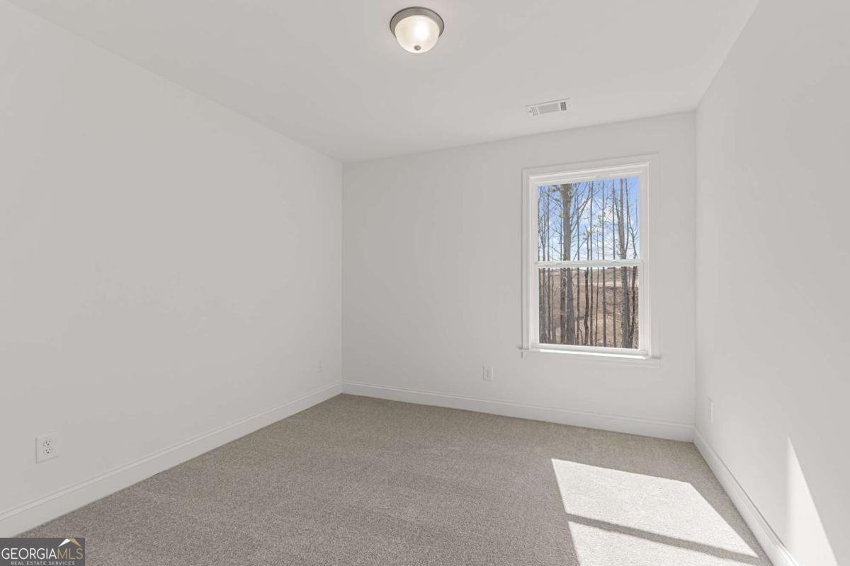 7317 Yewtree Drive Flowery Branch - 25