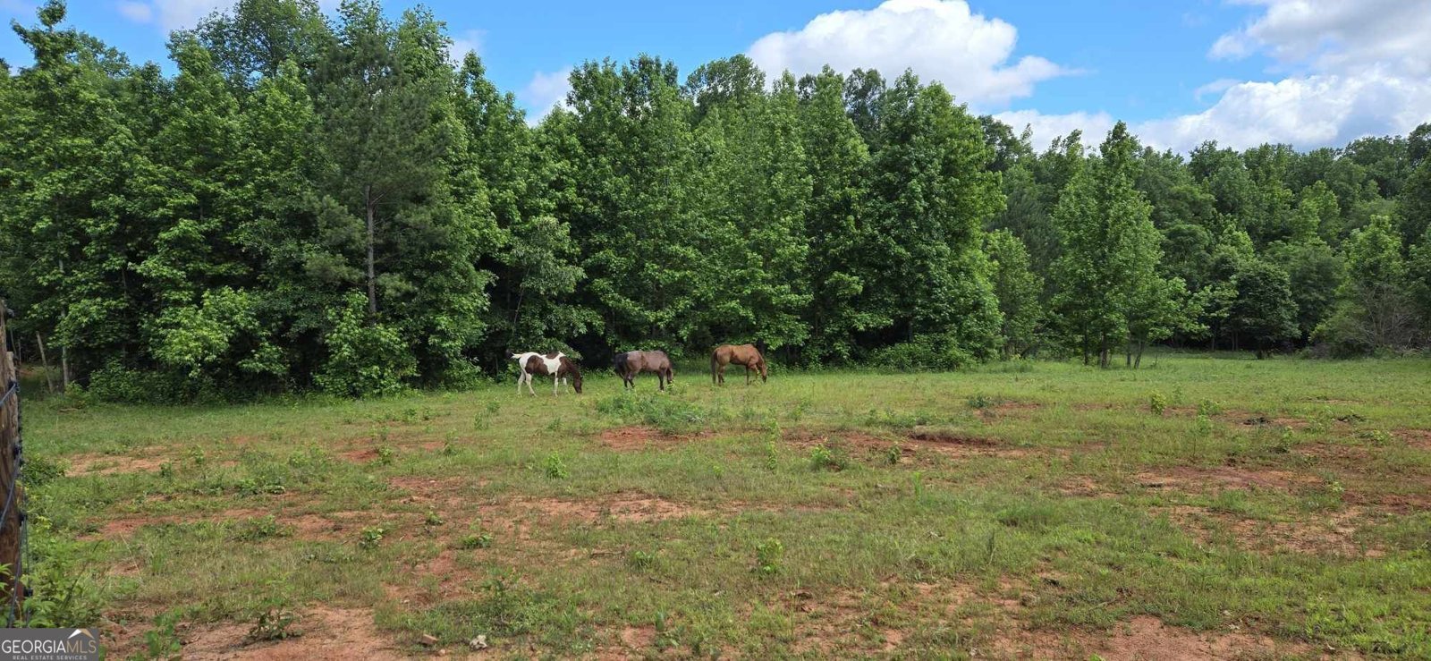 521 Hope Drive Comer - 14