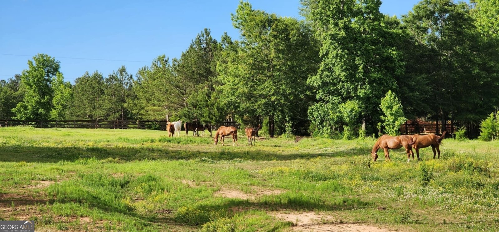 521 Hope Drive Comer - 35